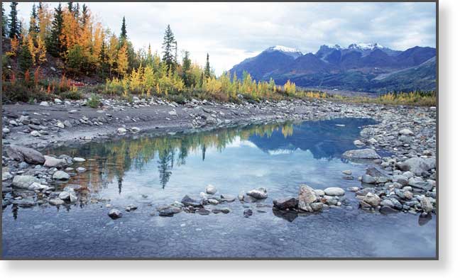 Glacial Pond, McCarthy, Alaska 