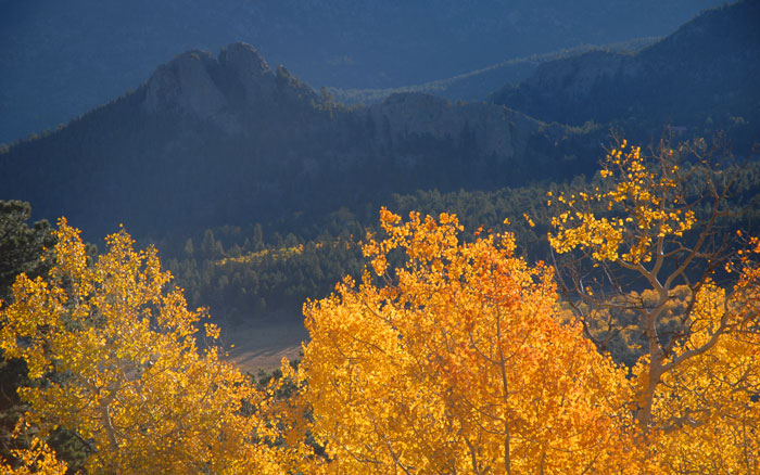 Autumn Sunrise Nature/Wildlife Photo Shoot in Westcliffe, Colorado