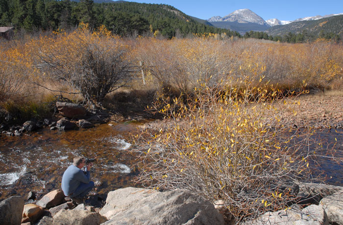 Autumn Sunrise Nature/Wildlife Photo Shoot in Westcliffe, Colorado