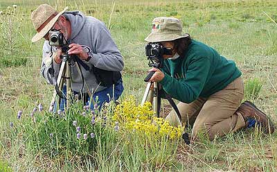 Photographers Shoot Wildflower Close-ups