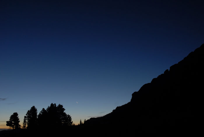 Summer Sunrise Nature/Wildlife Photo Shoot in Westcliffe, Colorado
