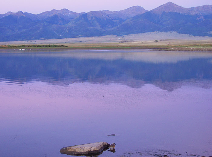 Summer Sunrise Nature/Wildlife Photo Shoot in Westcliffe, Colorado