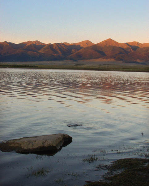 Summer Sunrise Nature/Wildlife Photo Shoot in Westcliffe, Colorado