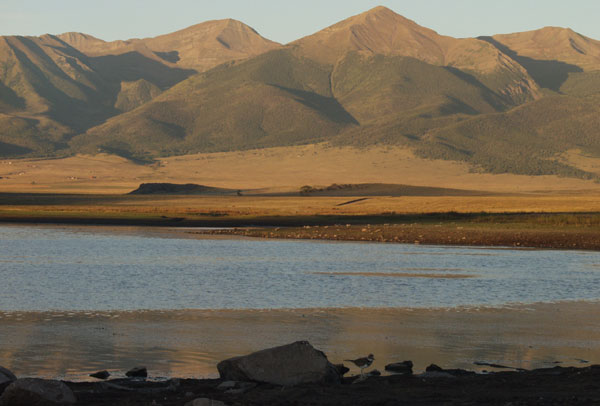 Summer Sunrise Nature/Wildlife Photo Shoot in Westcliffe, Colorado