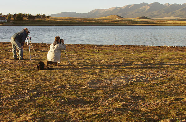 Summer Sunrise Nature/Wildlife Photo Shoot in Westcliffe, Colorado