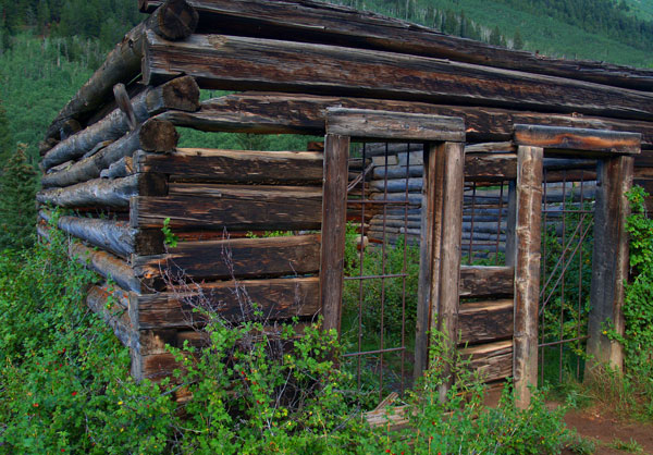 Autumn Sunrise Nature/Wildlife Photo Shoot in Westcliffe, Colorado