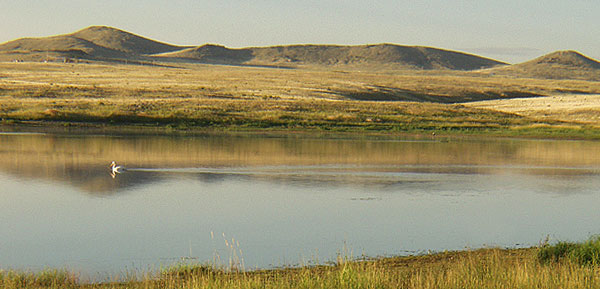 Summer Sunrise Nature/Wildlife Photo Shoot in Westcliffe, Colorado