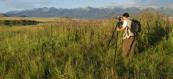 Summer Sunrise Nature/Wildlife Photo Shoot in Westcliffe, Colorado